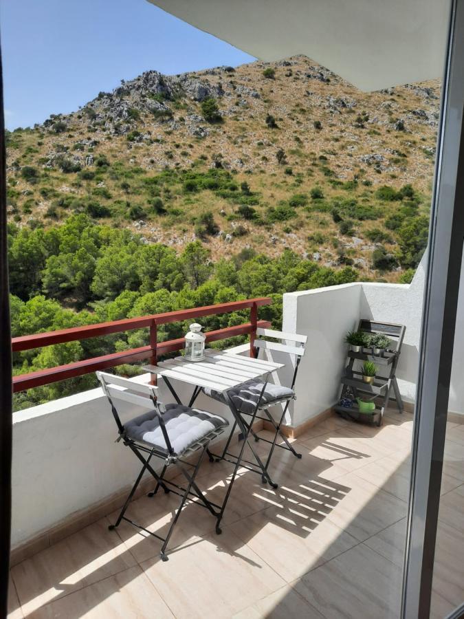 Appartement Cozy Estudio "Edificio Siesta 2" à Alcúdia Extérieur photo