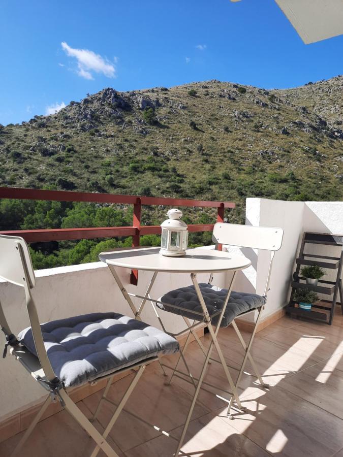 Appartement Cozy Estudio "Edificio Siesta 2" à Alcúdia Extérieur photo